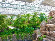 精装修三室两厅两卫 全明户型 改善大三房