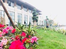 洋房顶跃,两层带花园,诚心出售,价格可谈