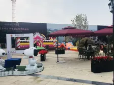 碧桂园川江首府开发商精装修房东诚心出售