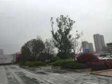 新力龙湾 品质小区 无挡阳光充足