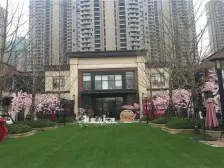 九龙湖新力洋房,地铁口,价格实惠