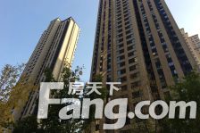 ±£Àû´ó¶¼»á 2ÊÒ1Ìü ÄÏ ±±