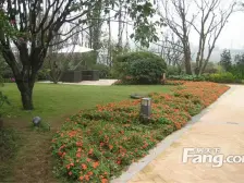南滨路长嘉汇 可以看来福士江景的两房,安静环境好