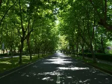 联排端户.精装修。实际面积大.可停8台车