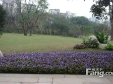 长嘉汇一线看江大一房,装修很好,拎包入住