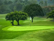 临河联排端户,150平花园,现浇已做完,三层全采光,