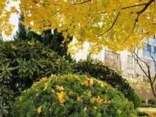 山语世家 1室0厅 西