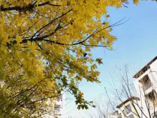 山语世家 1室1厅 东