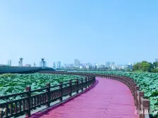 恒大首府二期 2室2厅 南
