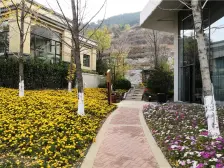 楼层位于中楼层 小区南排 视野无遮挡 落地阳台