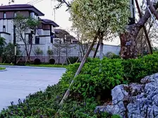 小区纯别墅,户数少 ,居住舒适,绿化环境好人车分流