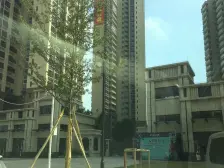 大道松山湖 2室2厅 南