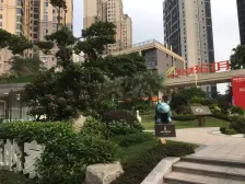 莞城碧桂园东江月高档花园小区,楼龄新,小孩上学方便