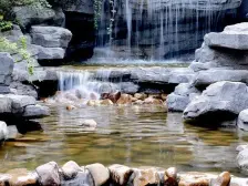 电梯洋房精装修,家具家电齐全,采光好。