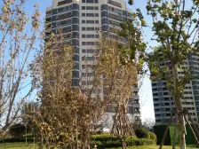 果岭海岸一线海景房直面观海业主急售