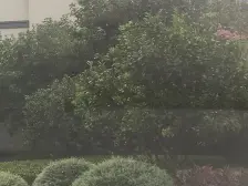 嘉华星际湾 复式大平层 一线江景 无任何遮挡