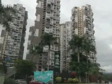 巴厘香泉 1室1厅 南