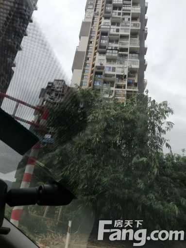 巴厘香泉3室2厅2卫南朝向1500.00元/月出租