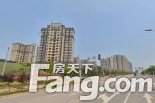 东山国际新城H区二期 3室1厅 东南