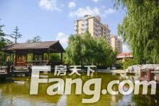 一楼加负一楼带院+紫郡城+封闭小区+小高层+电梯房