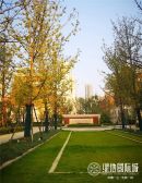 洋房小区 有储 楼间距大 精装修 南北通透飞机户型