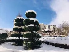 山语墅 5室3厅 南 北