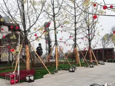 玖玺府110竖厅大四房采光视野好