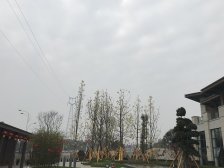 玖玺府合院上下六层带车位带花园