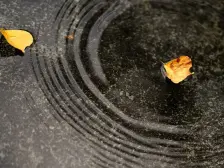 次新房+人车分流+精装修+电梯中高区+看房提前约