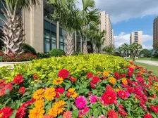 滨江高品质上叠别墅+双轨交+高品质绿化好+精装修