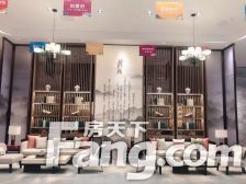 一楼带院子电梯洋房,一梯两户,采光视野很好