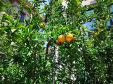 城区好位置 生活配套齐全 吃住行方便 居住环境安逸