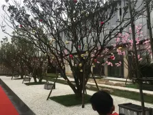 金地金茂正荣悦风华 2室2厅 南