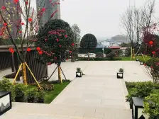 自贸区标准四室两厅二卫,清水洋房