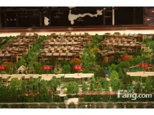 少有的品味特色装修,前后花园,有茶室 ,上3层下2层