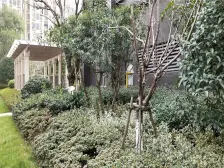 朝阳新城,地铁4号线,丁家洲,西湖万达,松柏