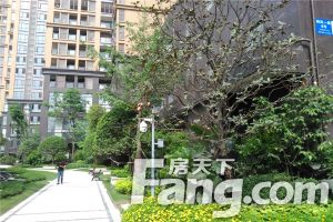 明信鹭湾B区 3室2厅 东 西