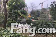 金科中心 1室1厅 西南