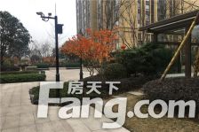 金科中心 3室1厅 南 西