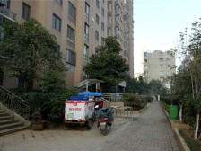 中大紫都 3室2厅 南