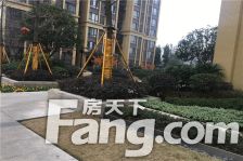 金科中心 1室1厅 西南