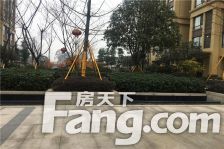 金科中心 1室1厅 北