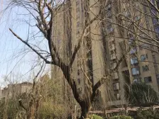 小区中间花园,位置嘎嘎好,南北通透,视野开阔,业主诚意出售。