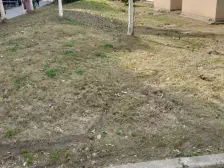 稀有新出!房东诚售!欢迎咨询