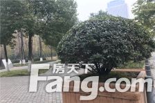 航天城上城一期 2室1厅 南