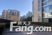 元嘉国际公寓,采光好,没有任何遮挡