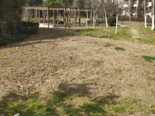 满五年 双南户型 中间楼层 价格可谈 诚意出售