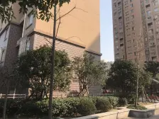 电梯房 刚需上车,业主诚意