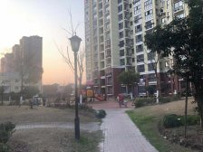 业主诚心出售,有租客 采光好 看房提前约