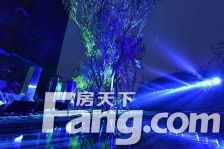 融侨悦江南 3室1厅 东南 北